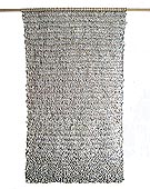 araalt1.JPG (16739 byte)
