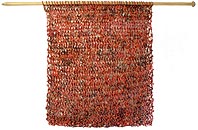 araros1.JPG (15349 byte)