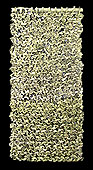 Giallo 40x80 / Ivano Vitali 2006