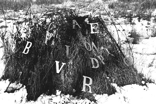 Ivano Vitali - Installazione di lettere e foto del 1978