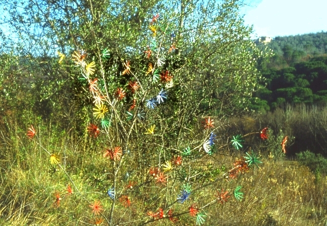 Campagna dell'Impruneta Firenze