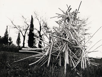 Ivano Vitali - Installazione di legni - Impruneta 1977