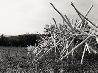 Ivano Vitali - Installazione di legni - Impruneta 1977