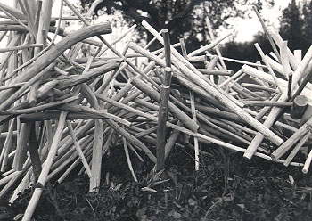 Ivano Vitali - Installazione di legni - Impruneta 1977