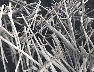 legni66.JPG (46301 byte)