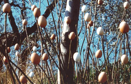 Particolare dell'installazione con le uova di Ivano Vitali